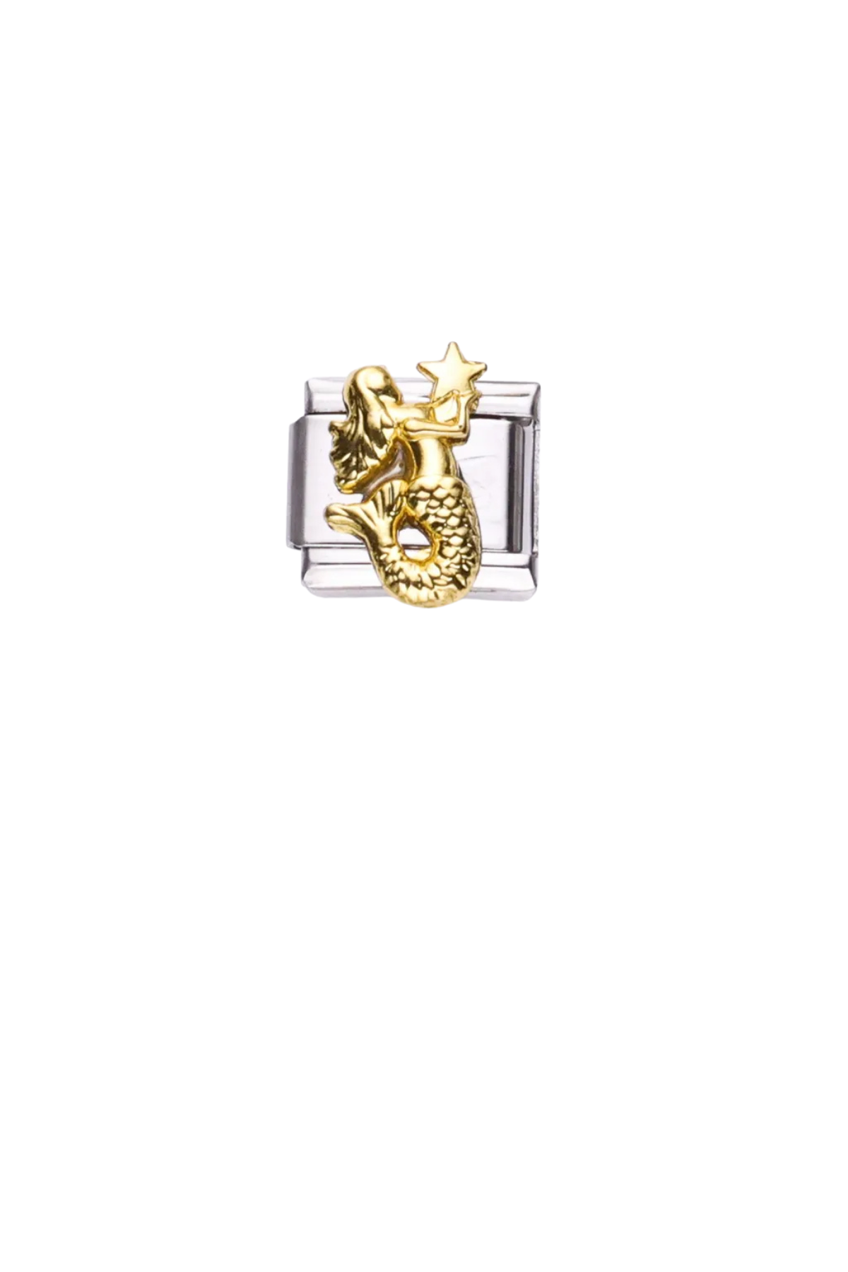 Sirena & tortuga charm